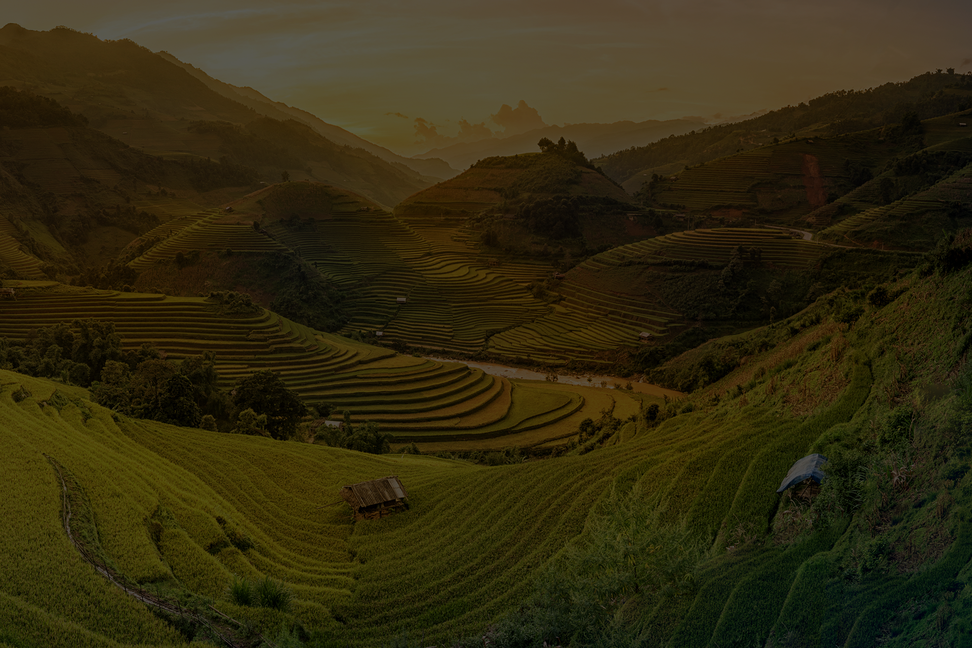 Un viaggio indimenticabile attraverso le meraviglie del Vietnam